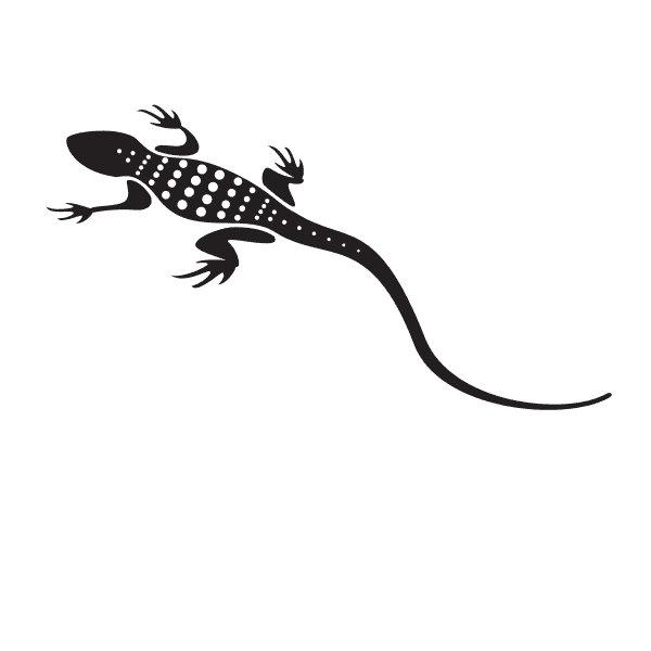 Lizard With Long Tail