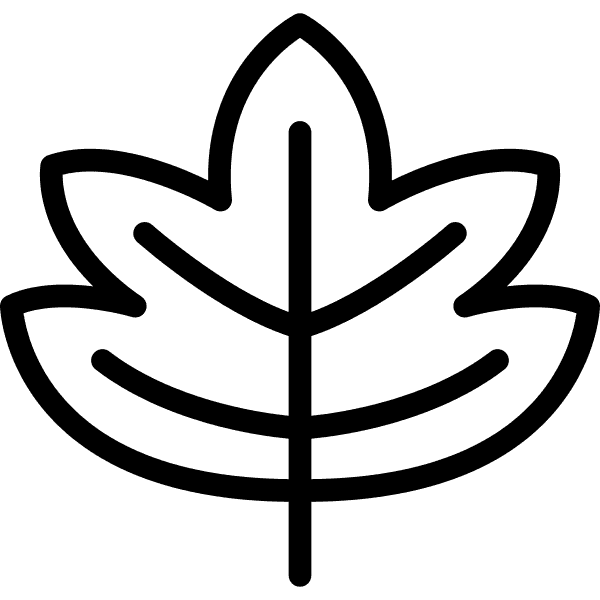 Maple Leaf Monochrome Vector