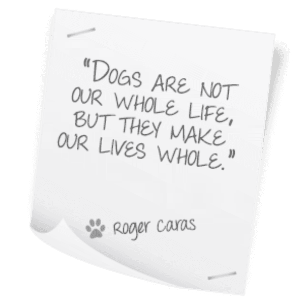 Memorial Sayings About Dogs