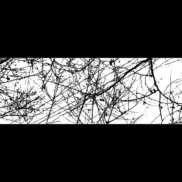 Messy Tree Branches Silhouette