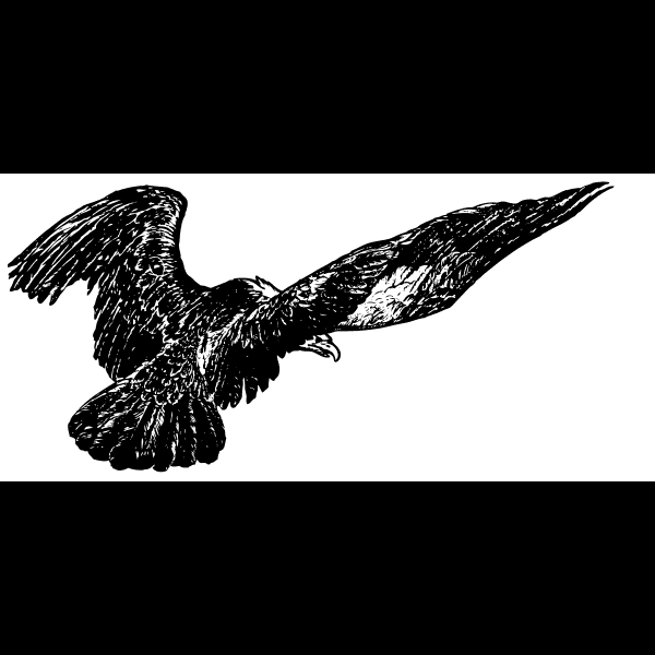 Mexican Eagle Silhouette