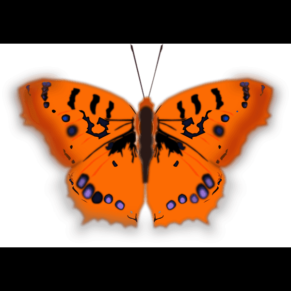 Orange Mariposa