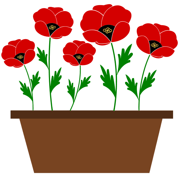 Poppy Flowers On Brown Pot