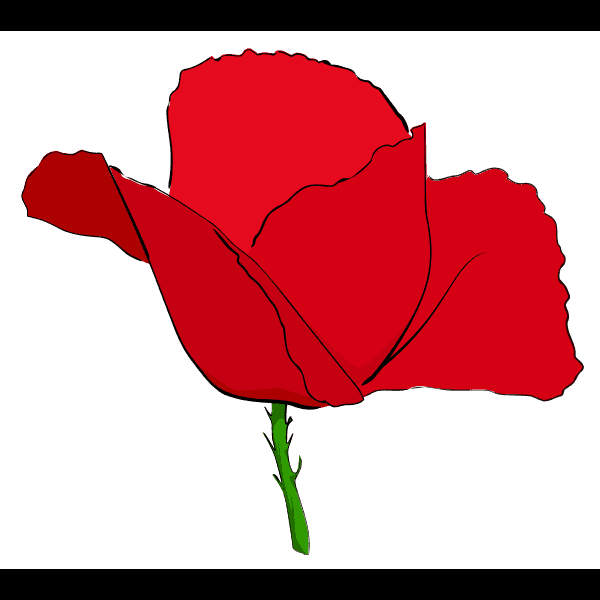 Red Poppy Flower
