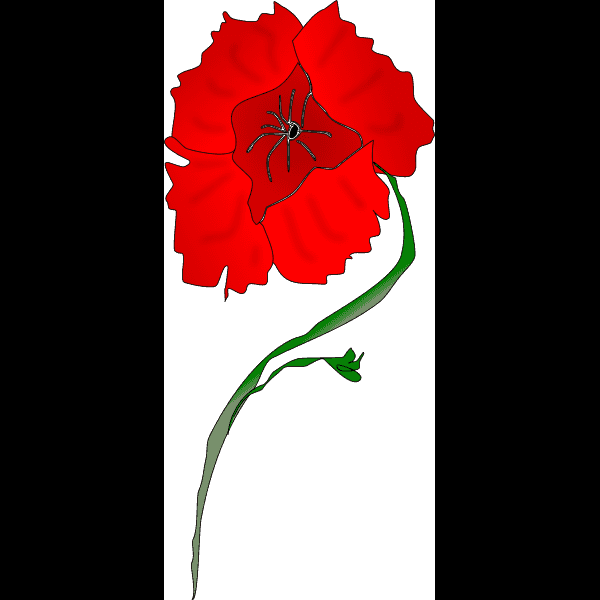 Red Poppy Flower Vector