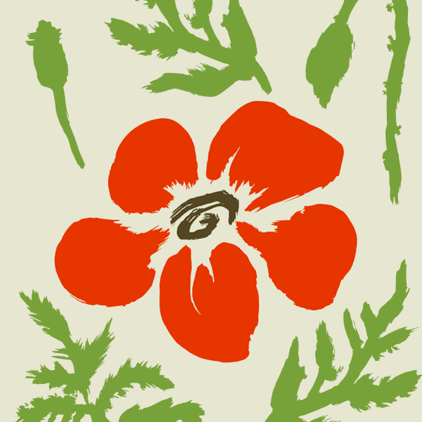 Red Poppy Flower With Leaves