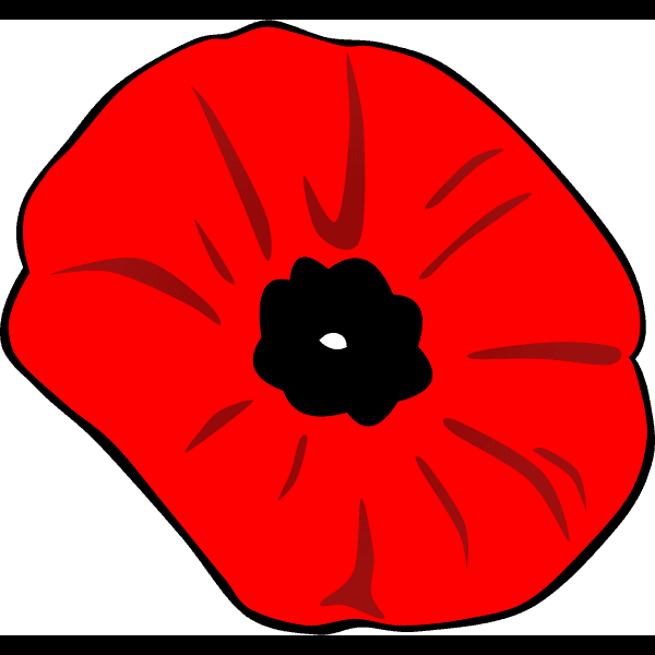 Red Poppy