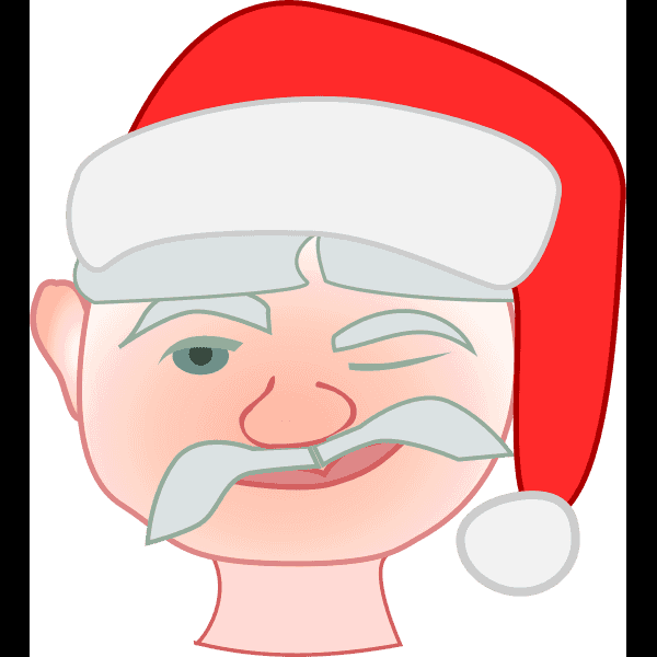 Santa Face Winks