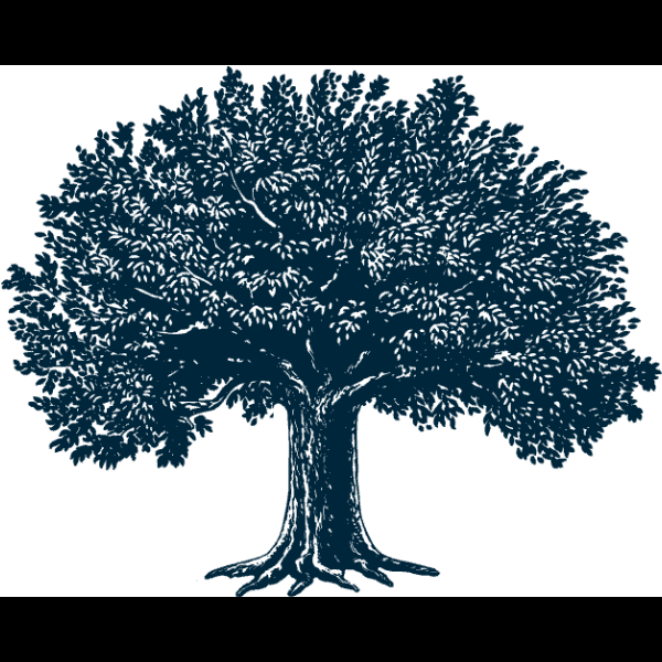 Spiritual Tree Icon