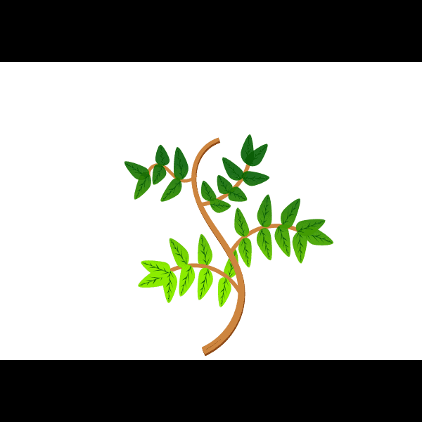 Spring Brown Branches With Leaves