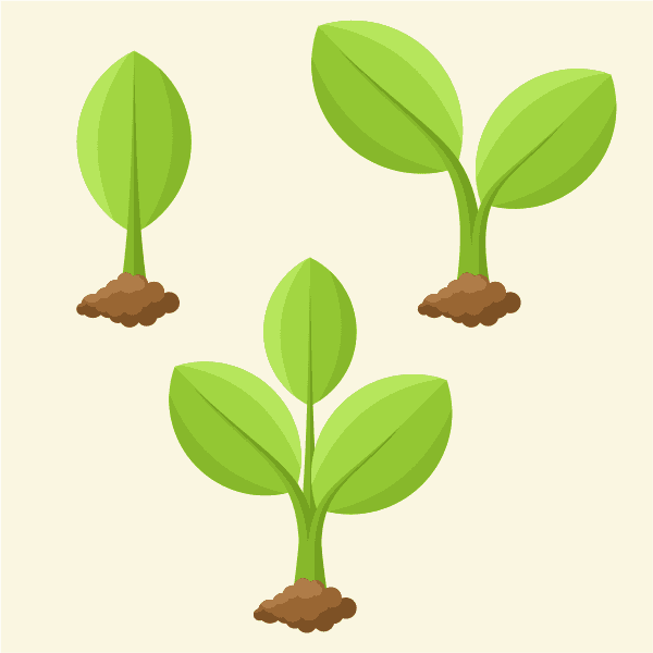 Sprouting Plants With Green Leaves