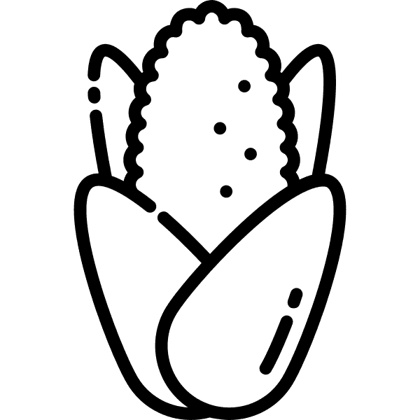 Sweet Corn Clipart Vector