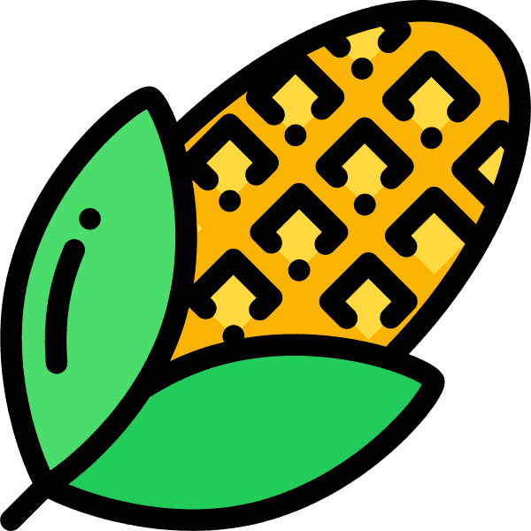 Sweet Gold Corn With Leaves
