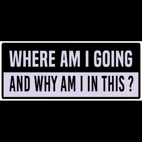 Text Funny Bumper Sticker Funny Car Decals