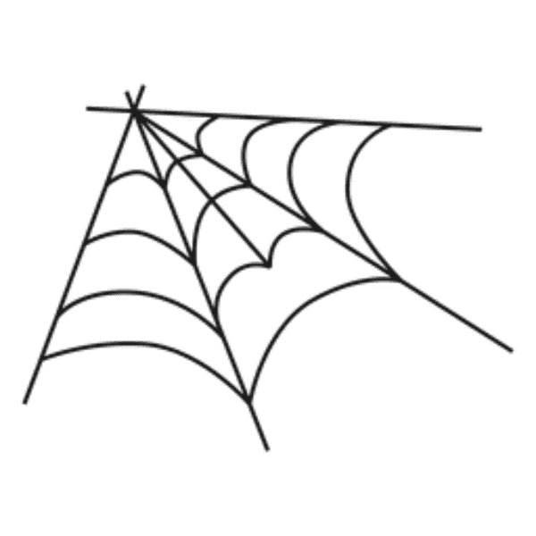 Thin Corner Spider Web