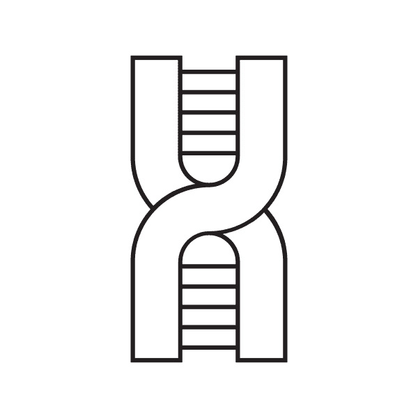 Thin Dna Structure Outline