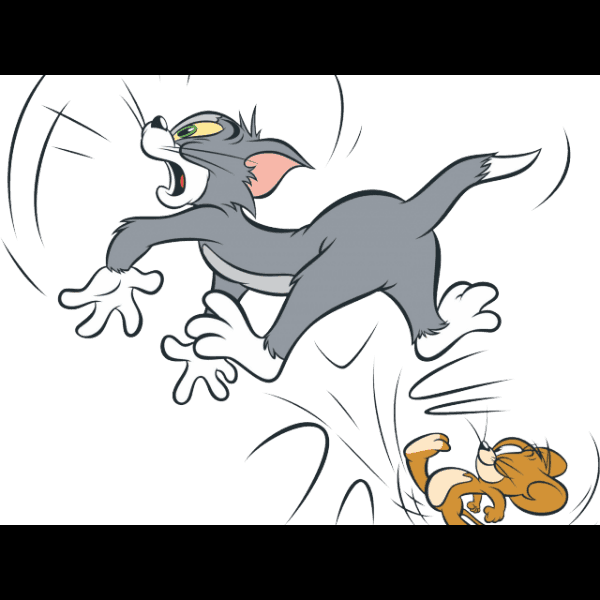Tom And Jerry Fighting