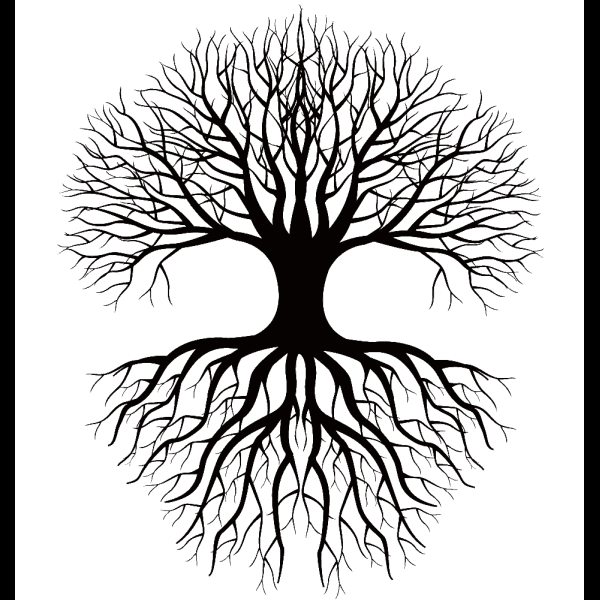 Tree With Roots Illustration