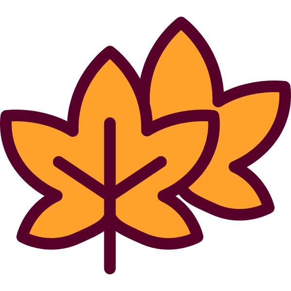 Two Maple Leaf Brown Outline