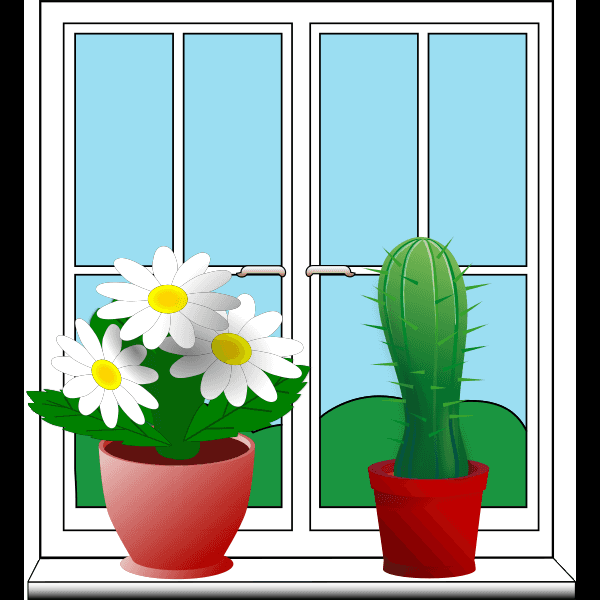 Two Potted Plants Near Window