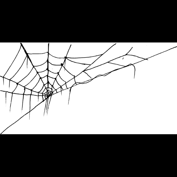 Unraveling Corner Spider Web