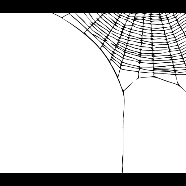 Unravelling Corner Spider Web