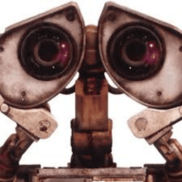 Walle Eyes Close-up