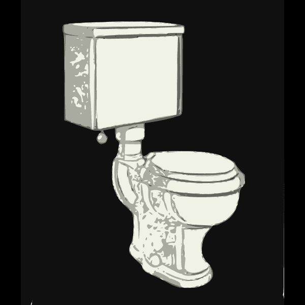 White Toilet Bowl On Black Backdrop