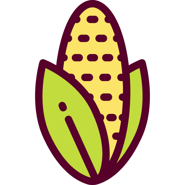 Yellow Corn Brown Outline