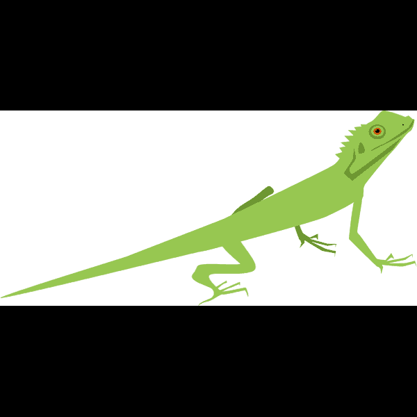 Yellow Green Lizard