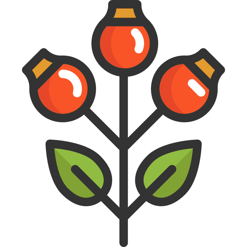 [400+] Roses Background s