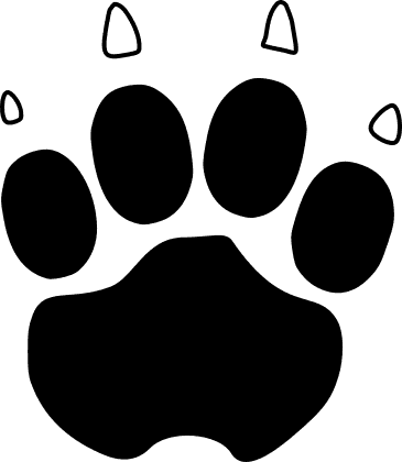 [100+] Paw Print Wallpapers | Wallpapers.com