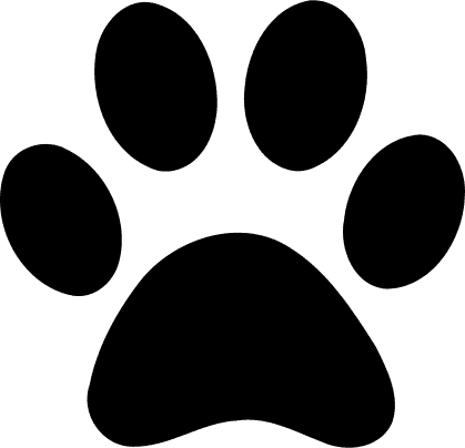 [100+] Paw Print Wallpapers | Wallpapers.com