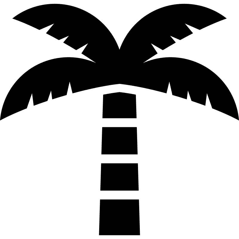 [500+] Palm Tree Pictures