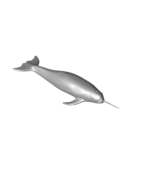 [100+] Narwhal Wallpapers | Wallpapers.com