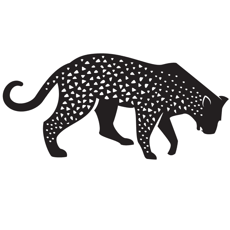 [200+] Leopard Wallpapers | Wallpapers.com