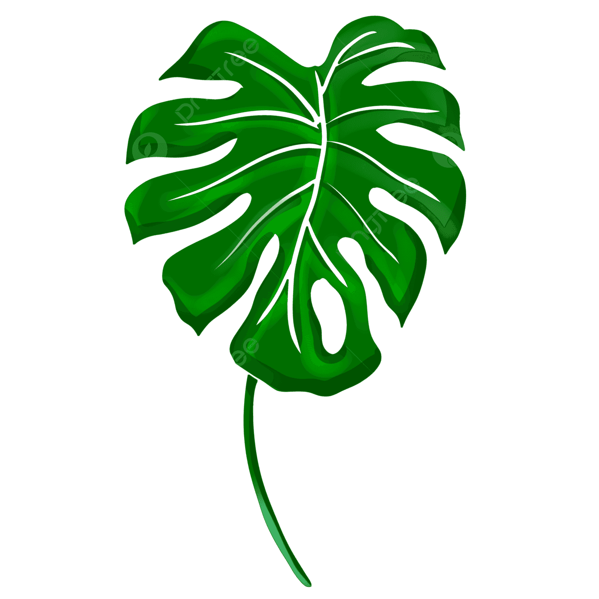 [100+] Monstera Leaf Wallpapers | Wallpapers.com