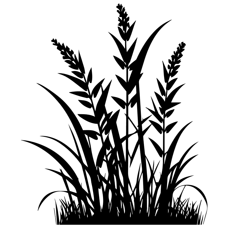 [100+] Pot Leaf Pictures