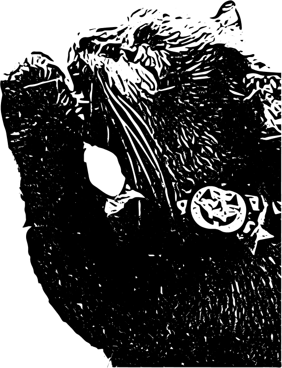 [100+] Trick Or Treat Wallpapers | Wallpapers.com